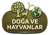 doğ